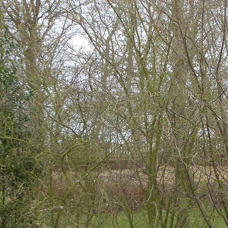 Freesteil Hohwacht Luaran gambar