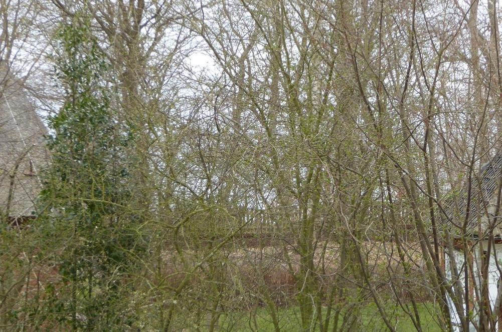 Freesteil Hohwacht Luaran gambar